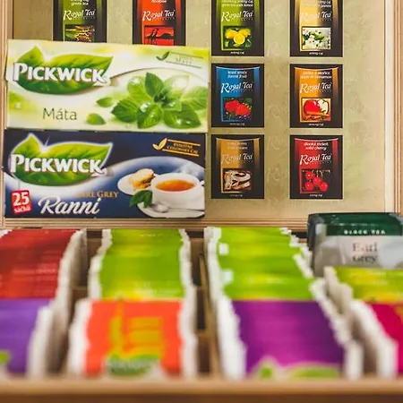 U české Koruny Hotel Hradec Králové