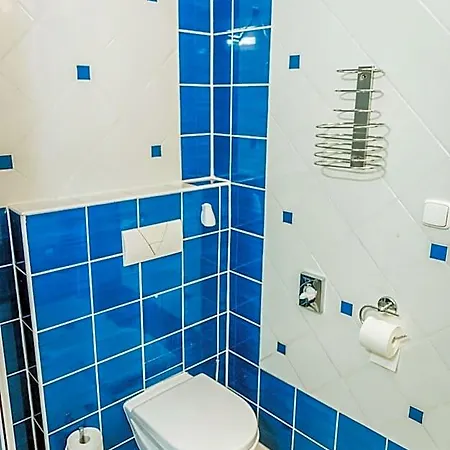 U Ceske Koruny 3*