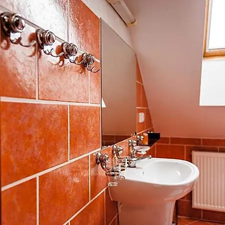 Hotel U Ceske Koruny 3*