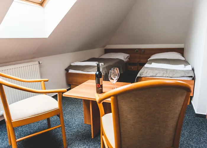 U Ceske Koruny Hotel 3*