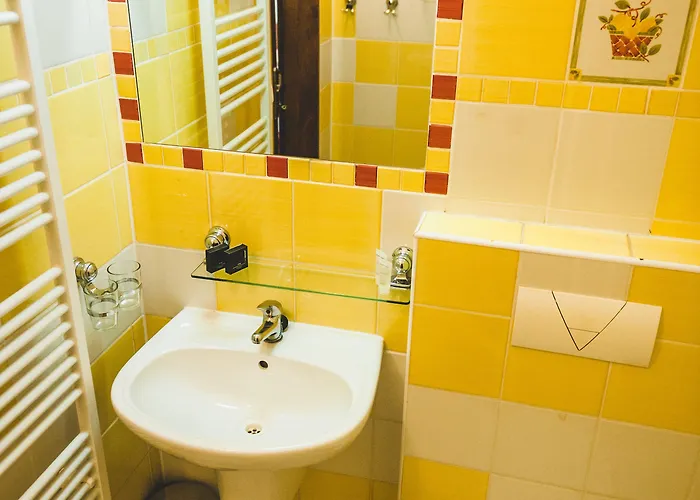 U Ceske Koruny Hotel 3*
