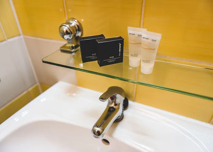 Hotel U Ceske Koruny 3*